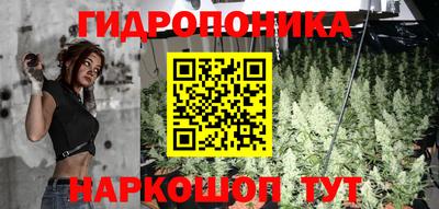 прущие грибы Анапа