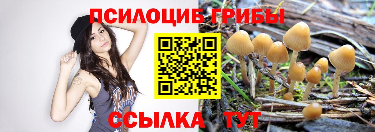 Псилоцибиновые грибы ЛСД  Псилоцибиновые грибы мицелий  Вход с VPN  Белогорск 